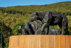 Новости ипотеки: расширение программы «Дальневосточная ипотека» для участников СВО